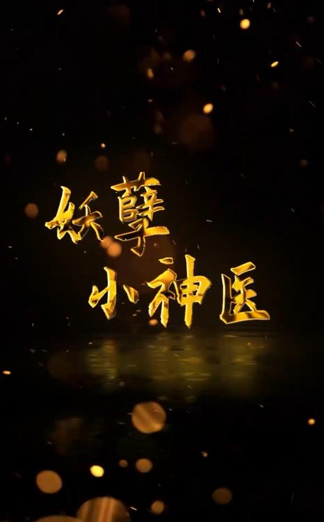 回村小伙是医侠